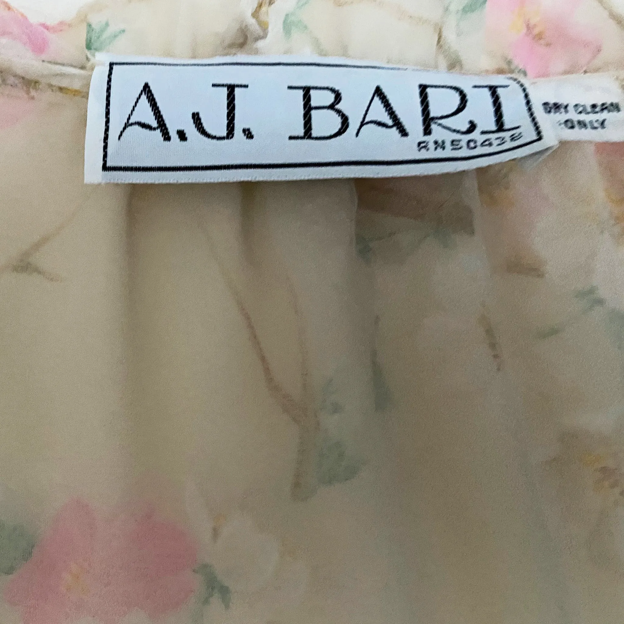 A J Bari floral organza dress