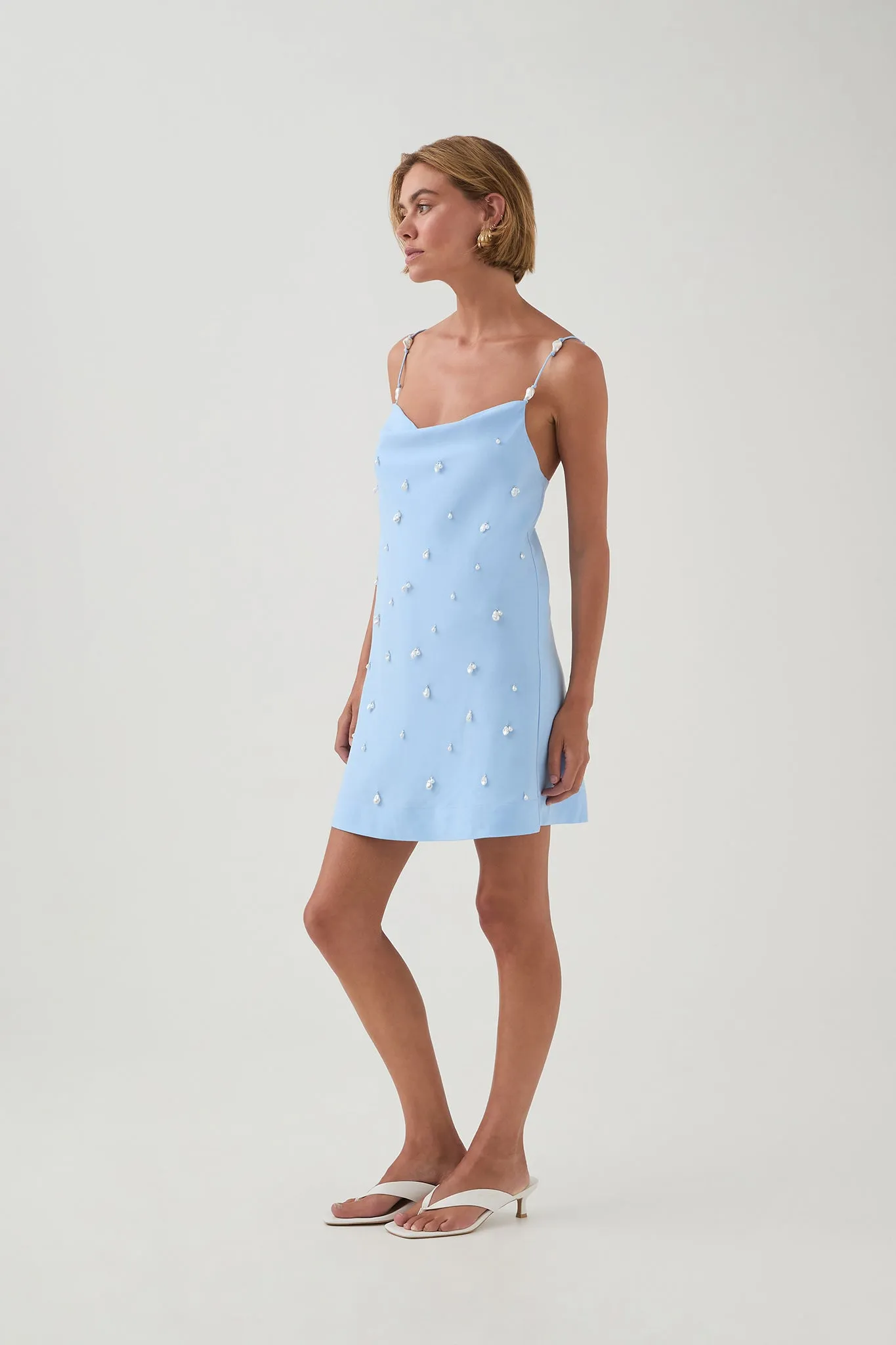 Akoya Mini Dress