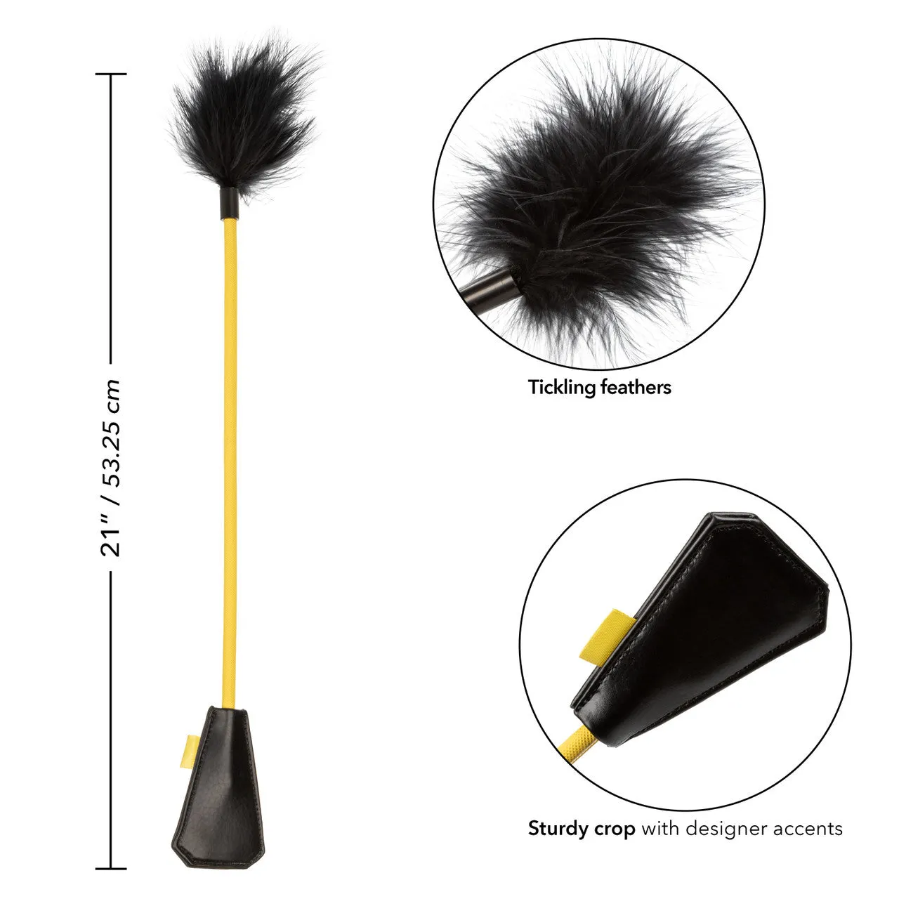 Boundless FEATHER CROP