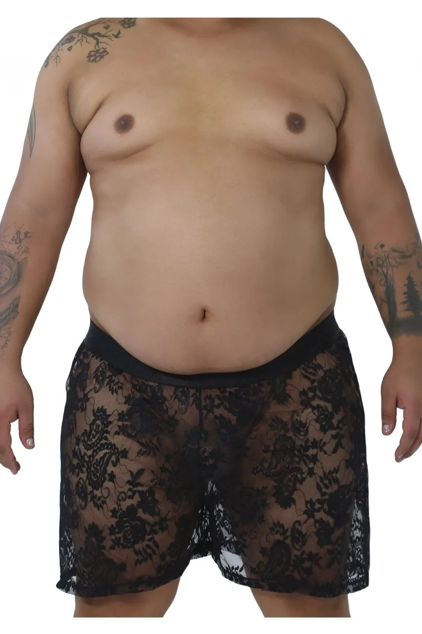 CandyMan 99464X Lace Shorts Black Plus Sizes