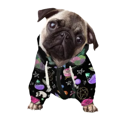 Dog Coats & Hoodies