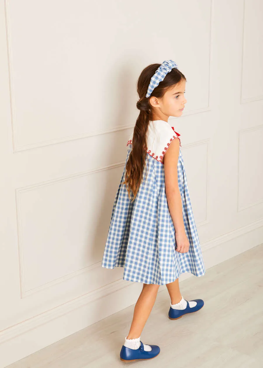 Embroidered Gingham Sleeveless Dress in Blue (12mths-12yrs)