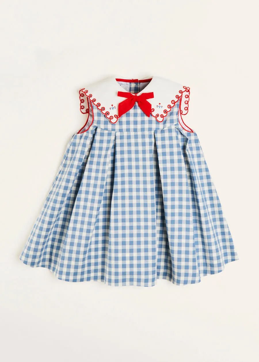 Embroidered Gingham Sleeveless Dress in Blue (12mths-12yrs)