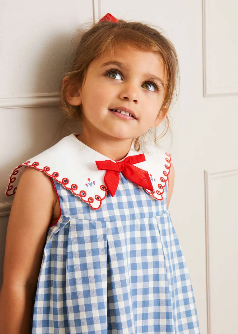 Embroidered Gingham Sleeveless Dress in Blue (12mths-12yrs)