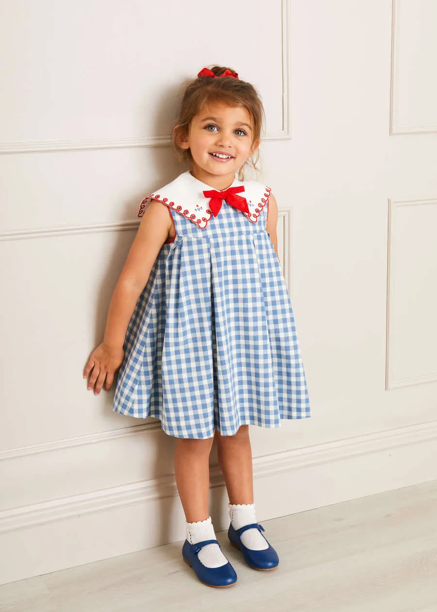 Embroidered Gingham Sleeveless Dress in Blue (12mths-12yrs)