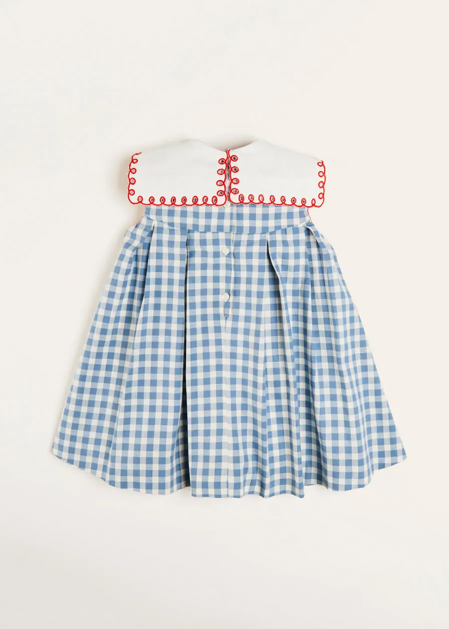 Embroidered Gingham Sleeveless Dress in Blue (12mths-12yrs)