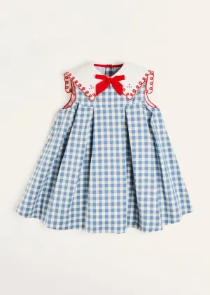 Embroidered Gingham Sleeveless Dress in Blue (12mths-12yrs)