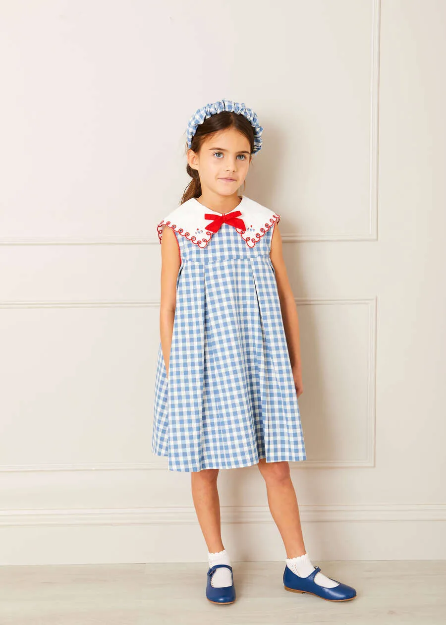 Embroidered Gingham Sleeveless Dress in Blue (12mths-12yrs)