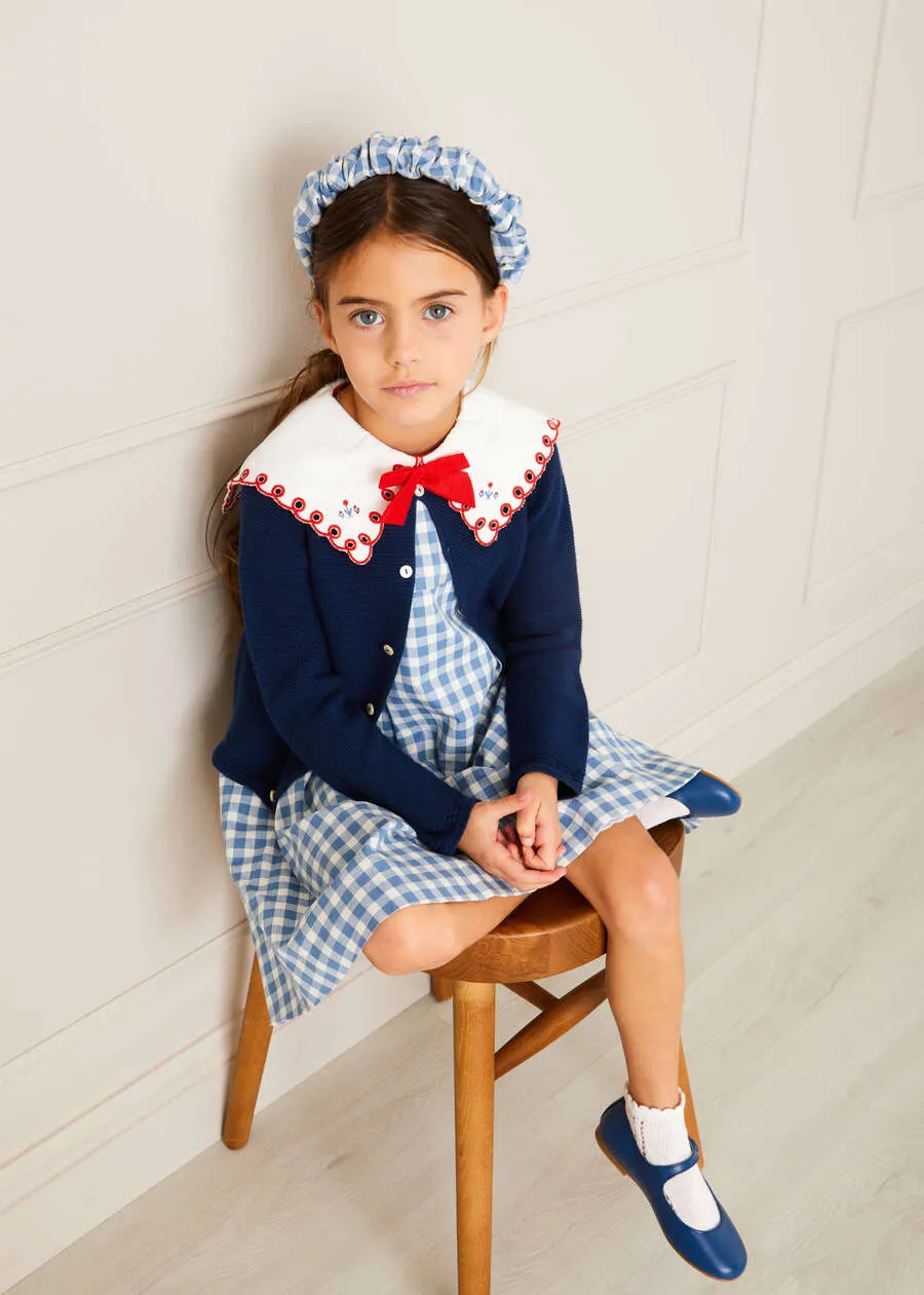 Embroidered Gingham Sleeveless Dress in Blue (12mths-12yrs)