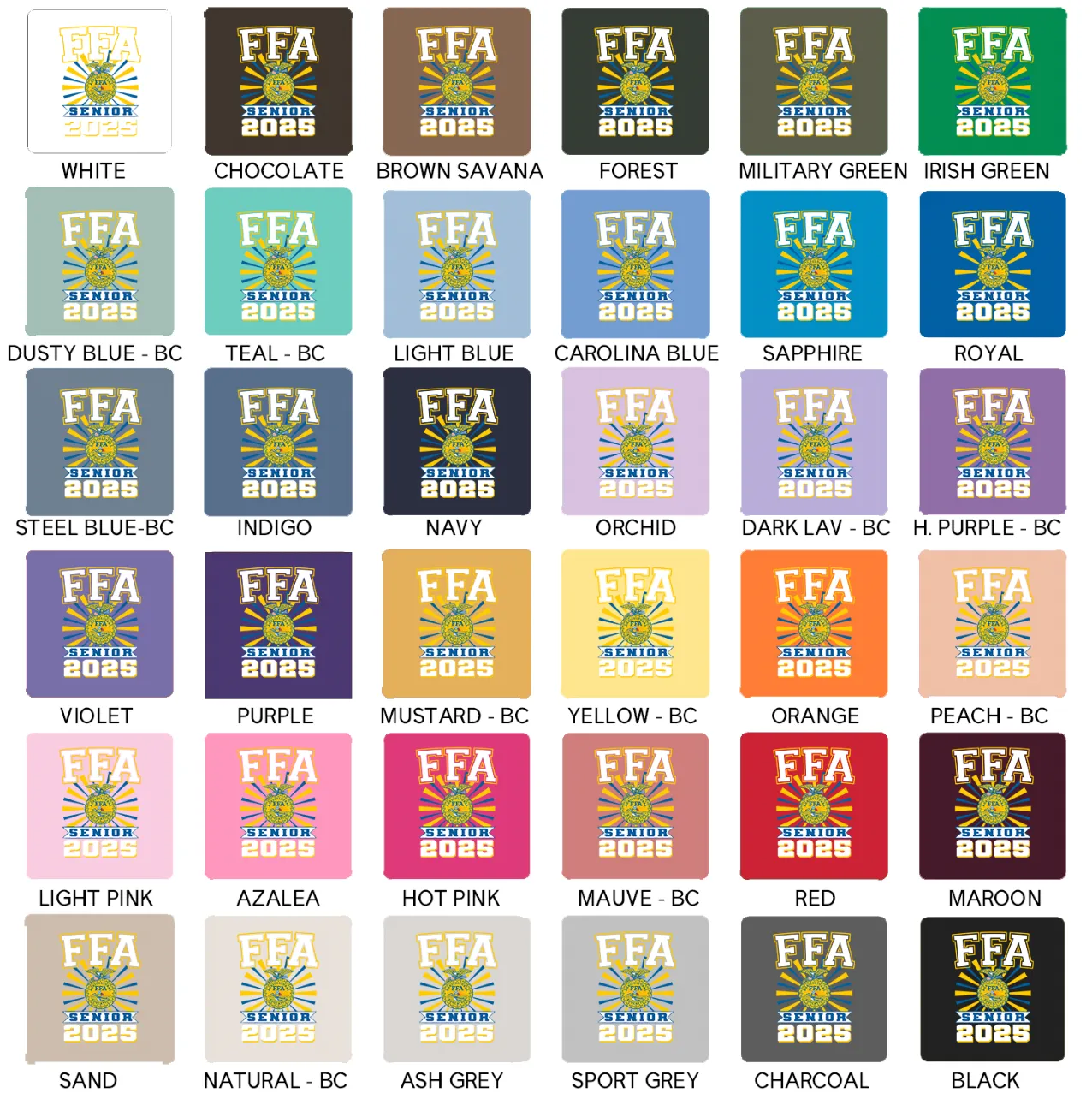 FFA 2025 Senior – Hoodie