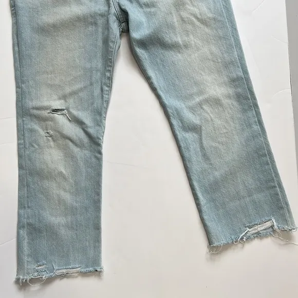 FRAME Denim Le Grand Garçon Jean Earls Court Light Wash Relaxed Fit Sz 28