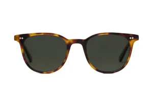 Frankie  Sunglasses - Havana