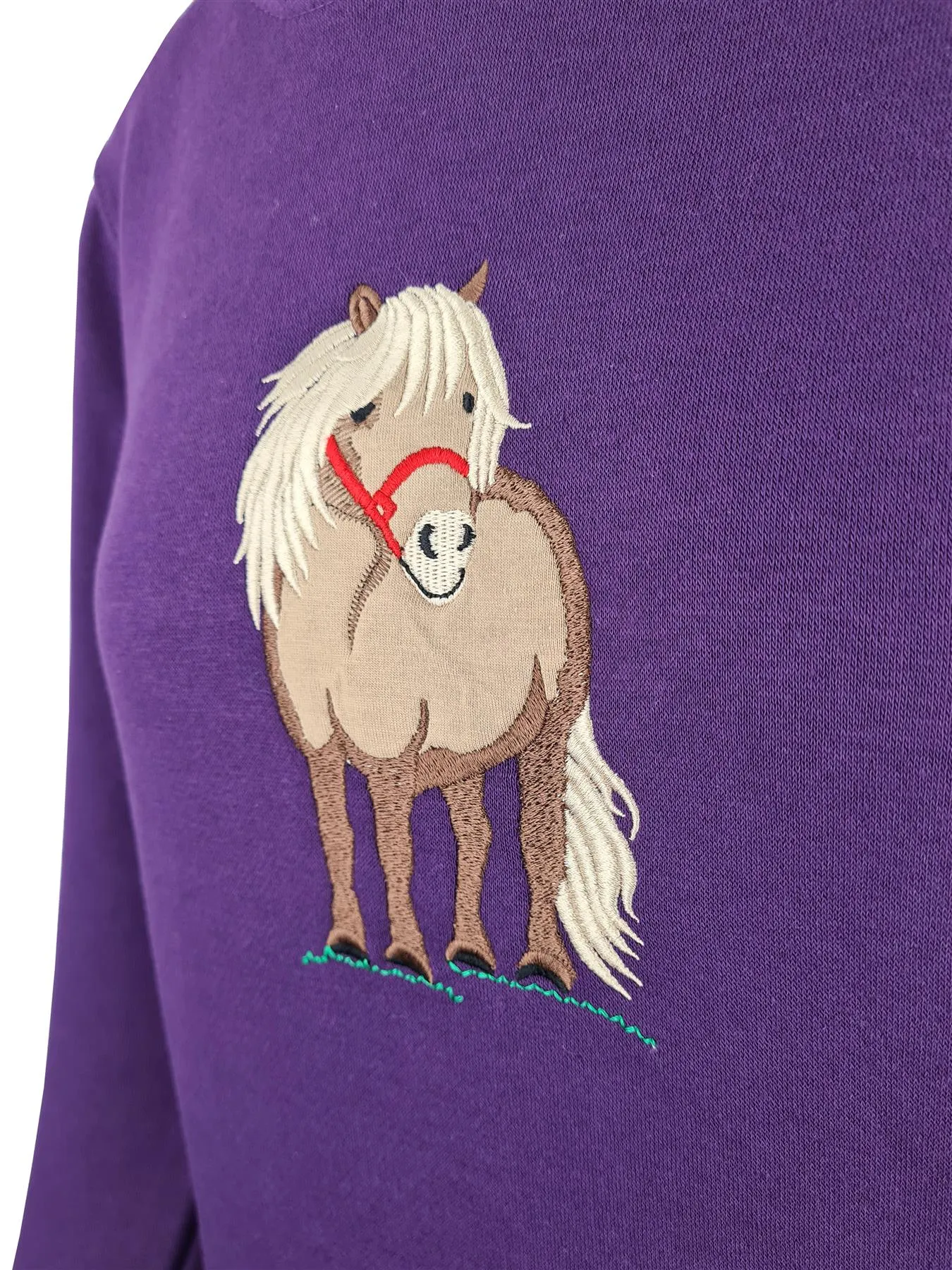 Hazy Blue Hazel Horse Childrens Hoodies
