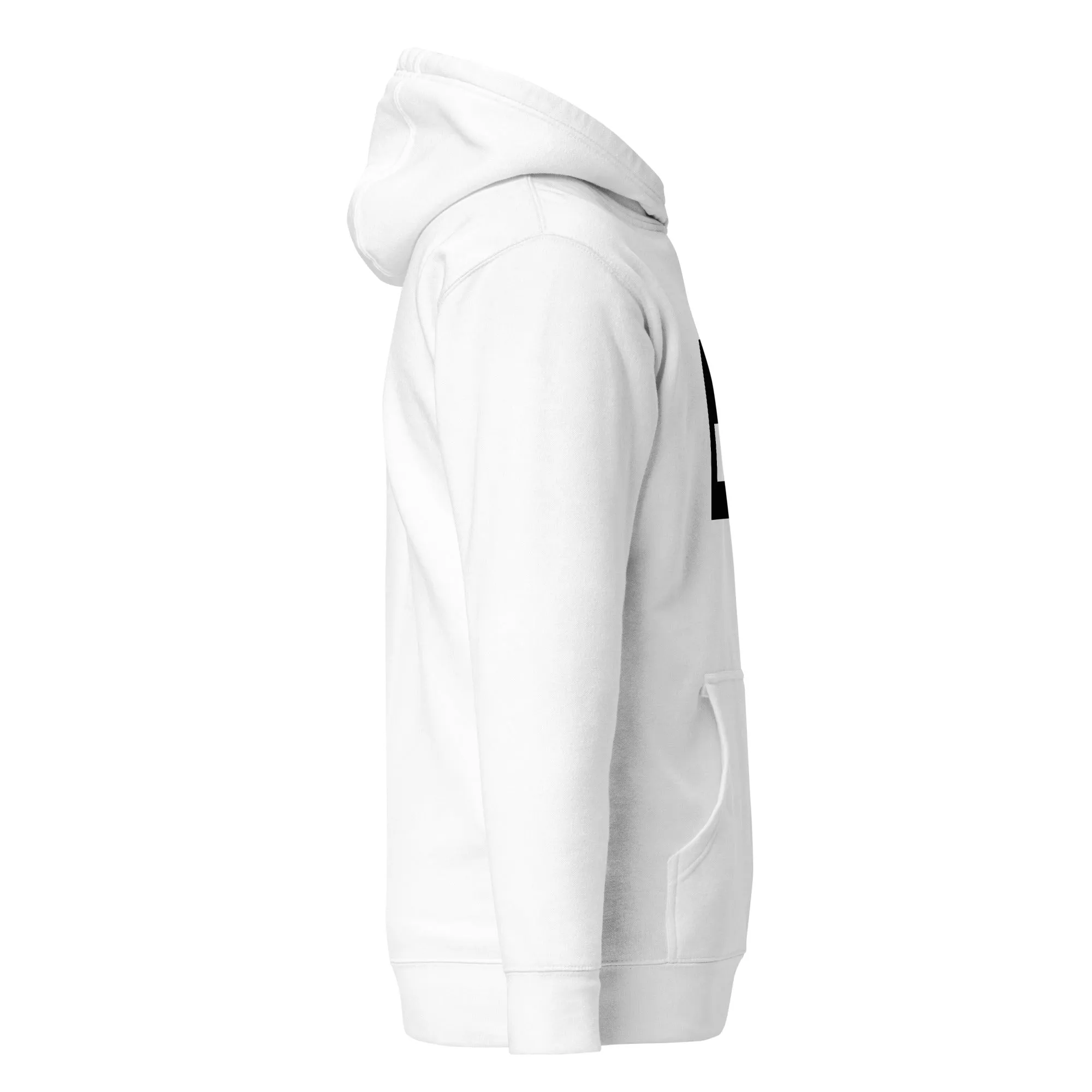 Icon-5 Inset Hoodies