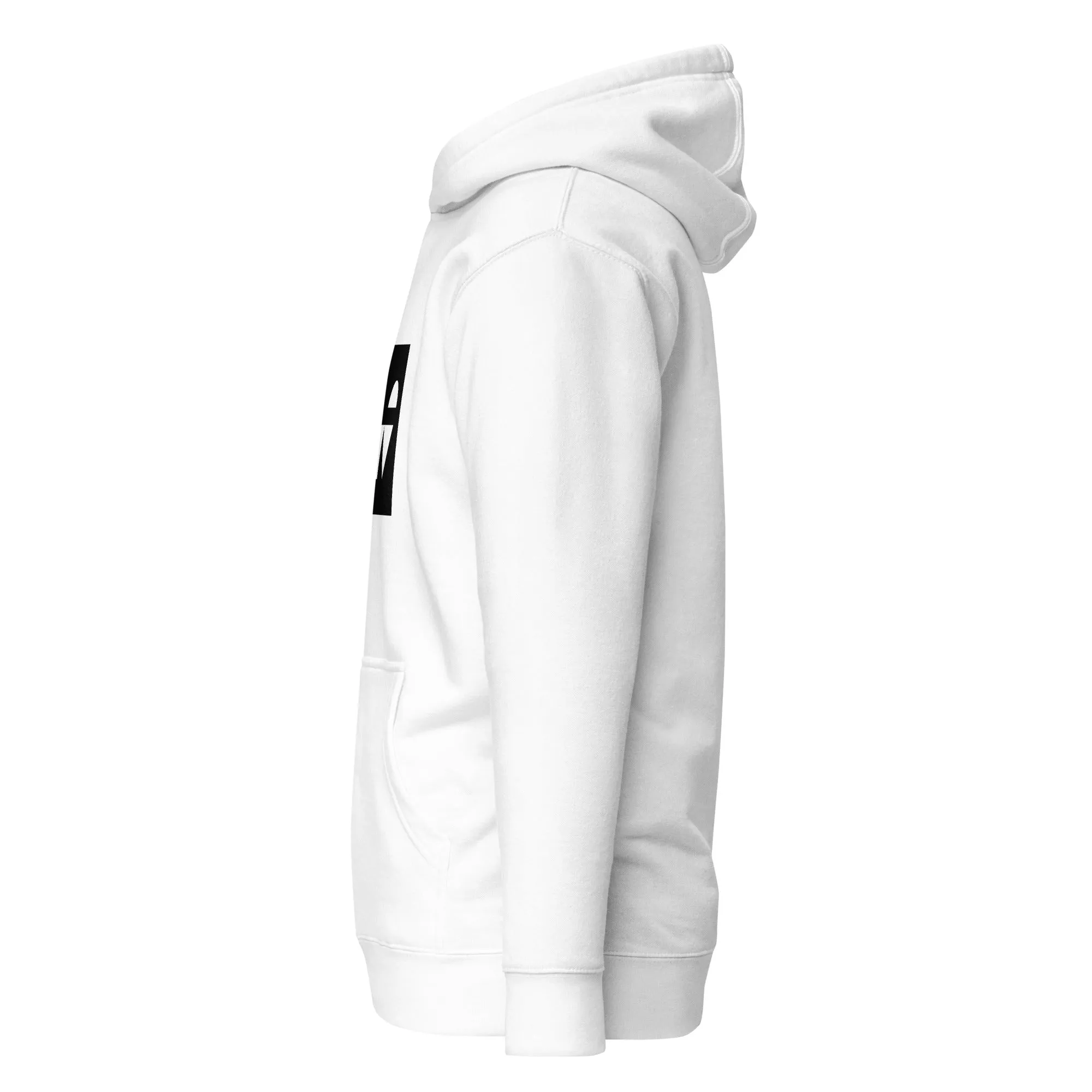 Icon-5 Inset Hoodies