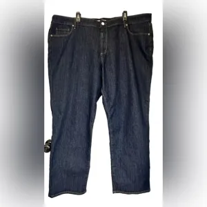 Loft Plus Size Modern Straight Jeans Dark Blue Classic Women’s Size 24 New