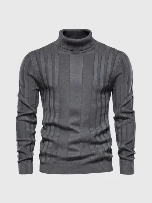 Men's striped turtleneck sweater