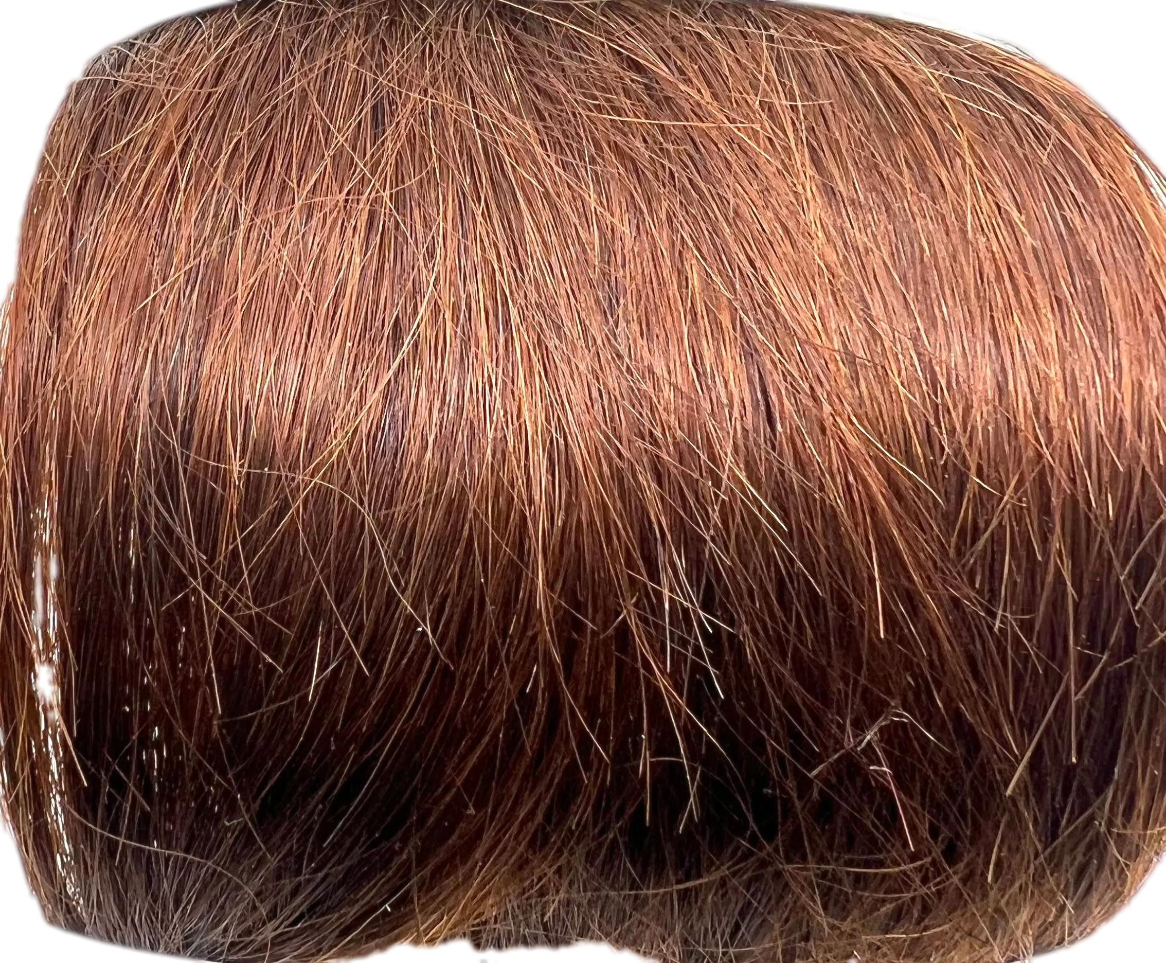 Oh! Yes 100% Human Hair-The Butterfly Wrap 4''8'' free closure