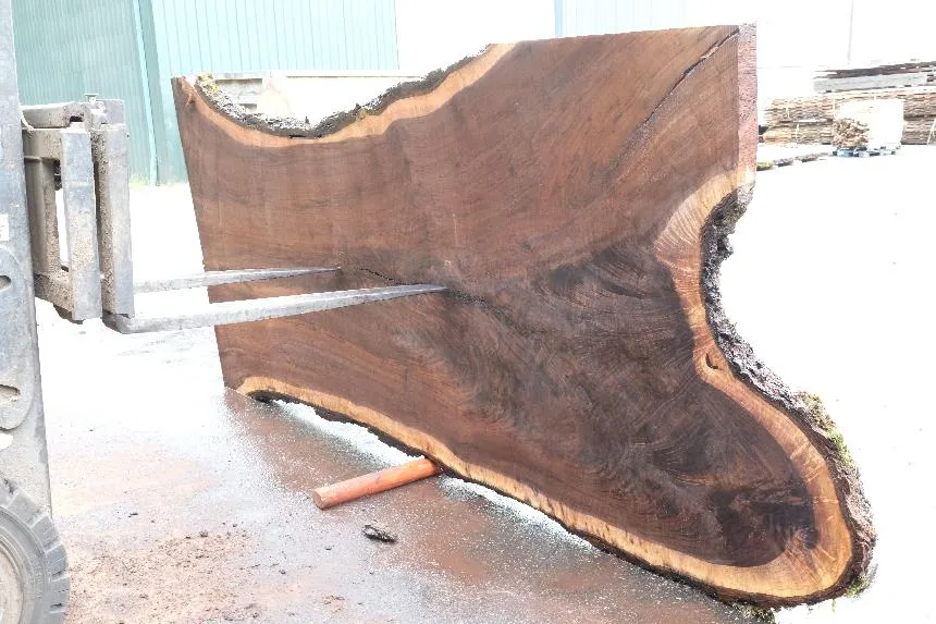 Oregon Black Walnut Slab 061723-10