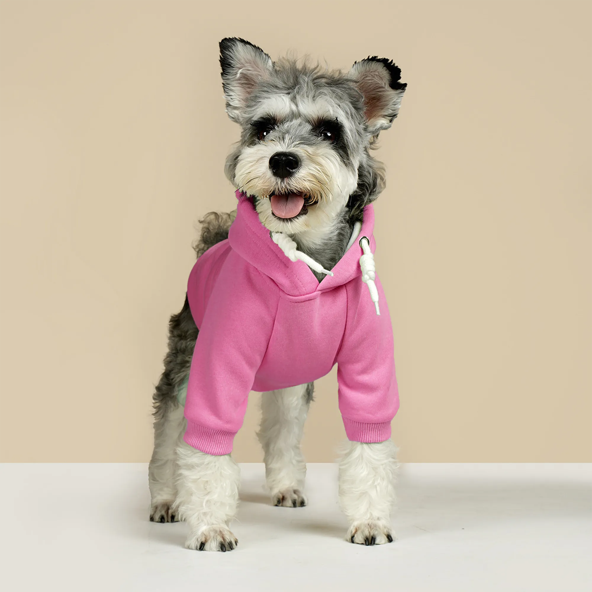 Player One and Player two - Matching French Bulldog Hoodies – Stylish, Cozy & Personalized!