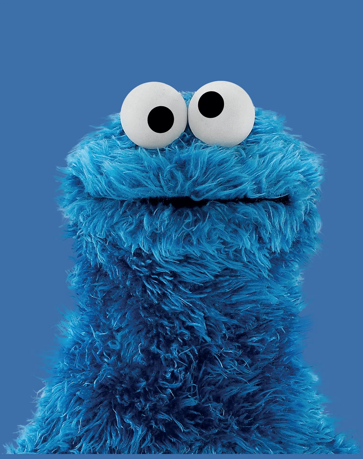 Sesame Street Cookie Monster Photo Head Official Men's T-Shirt (Royal Blue)