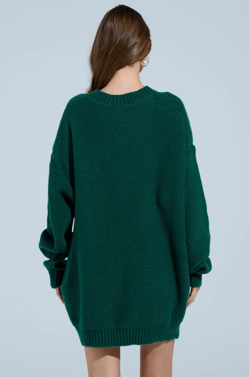TOO PRETTY PRINTED SWEATER DRESS
