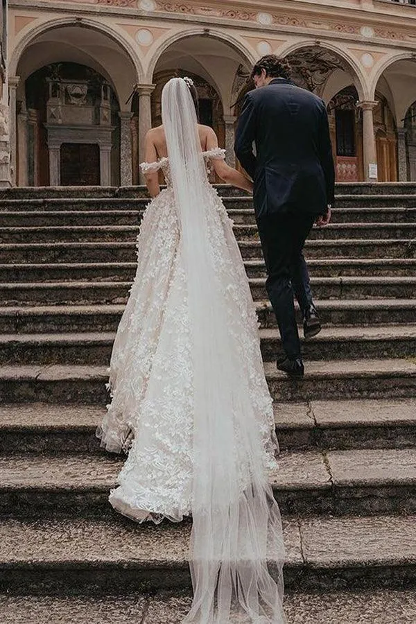 Tulle Ball Gown Off-the-Shoulder Lace Appliques Wedding Dresses, SW627