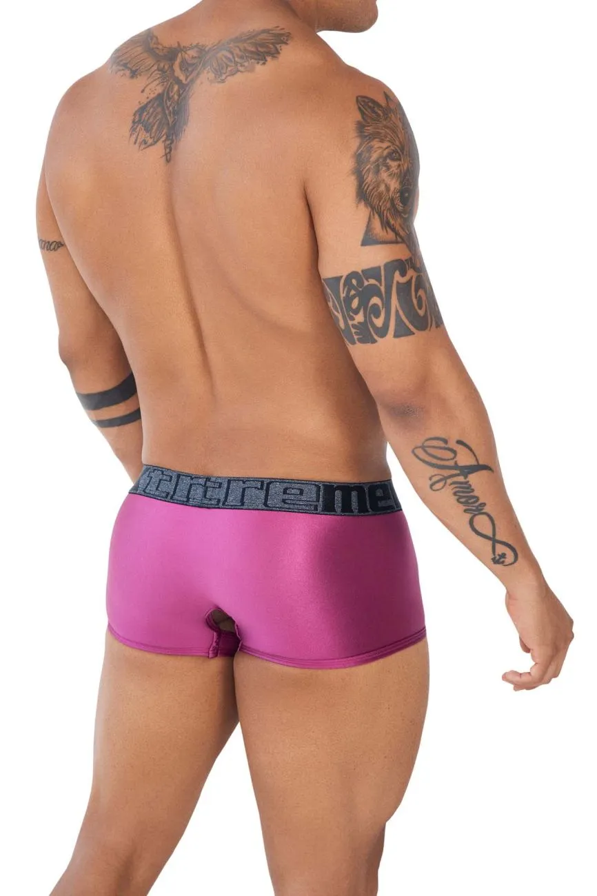 Xtremen 91125 Daring Mesh Trunks Violet